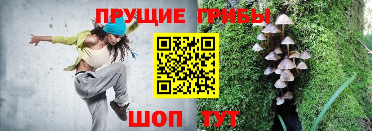 Галлюциногенные грибы Psilocybe  Вход с VPN  Галлюциногенные грибы MAGIC MUSHROOMS  Кузнецк 