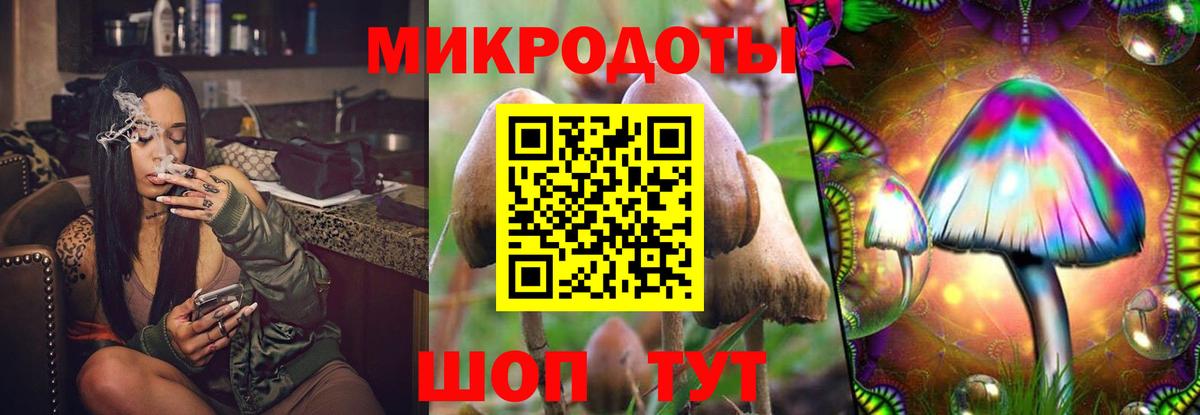 Псилоцибиновые грибы Psilocybe Кузнецк